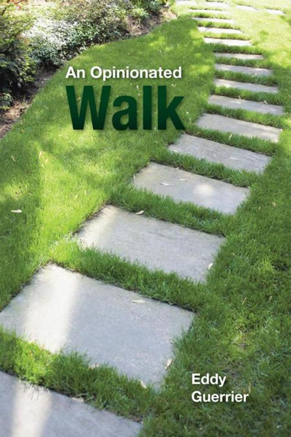 Big bigCover of An Opinionated Walk