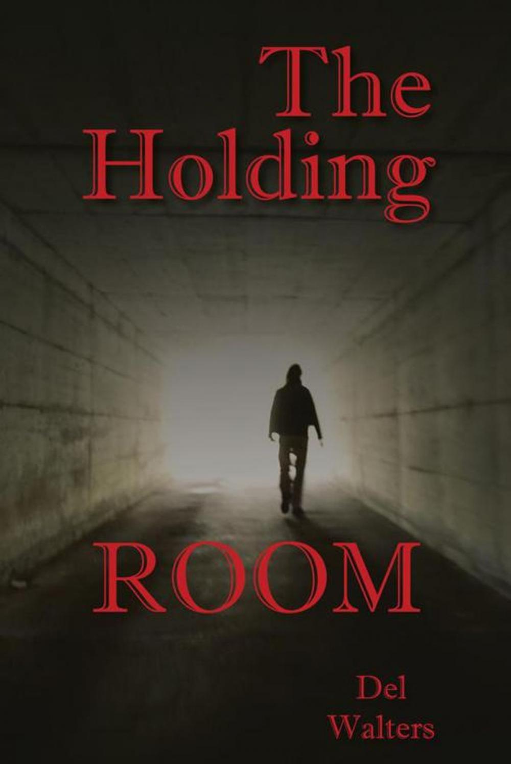 Big bigCover of The Holding Room