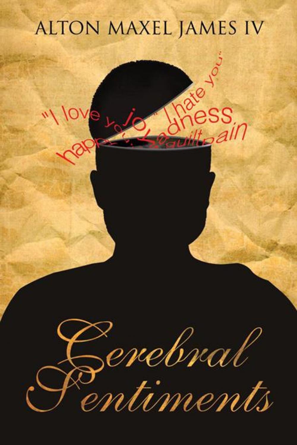 Big bigCover of Cerebral Sentiments