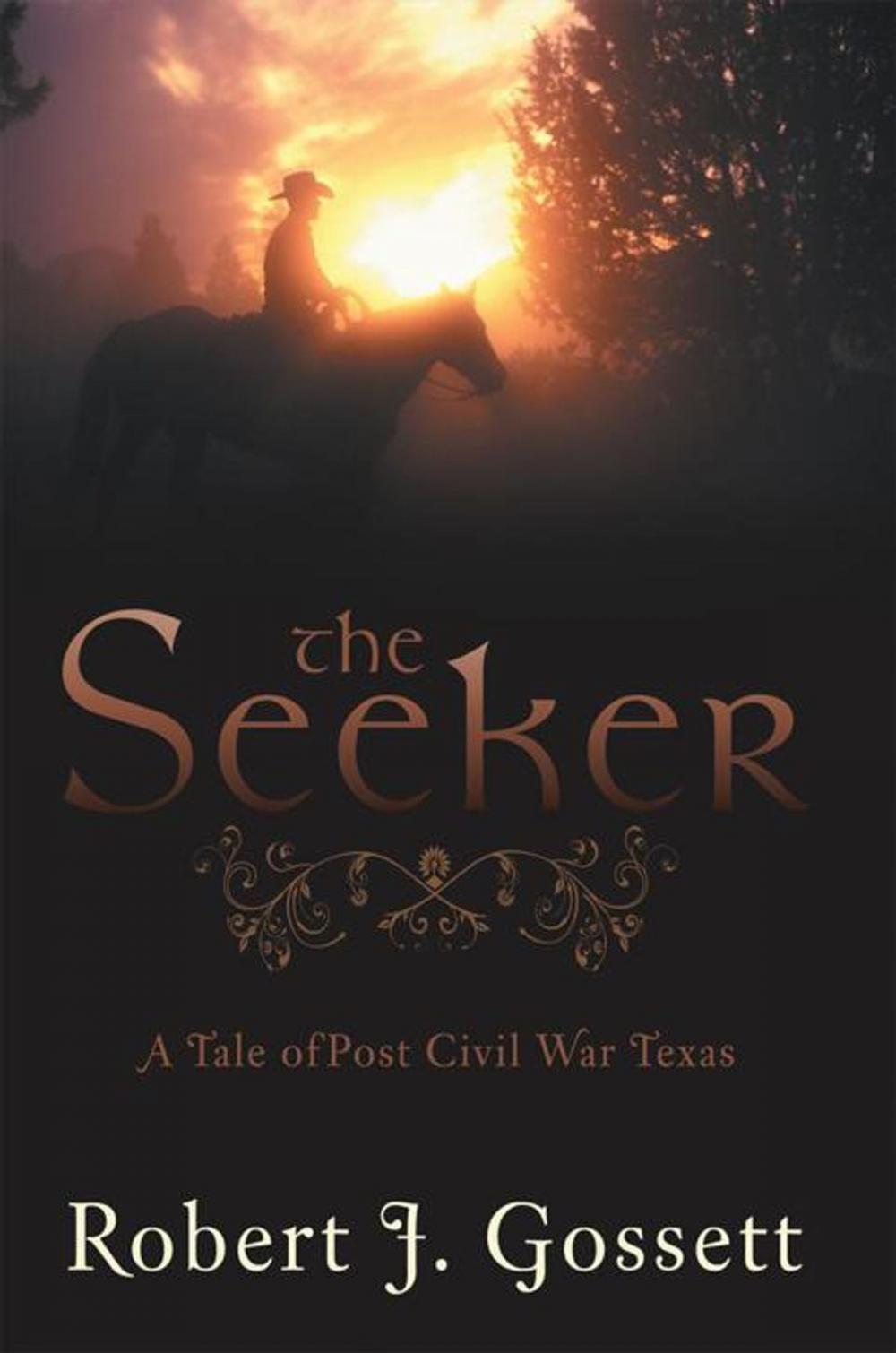 Big bigCover of The Seeker