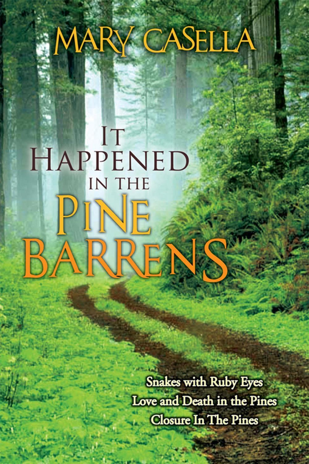 Big bigCover of It Happened in the Pine Barrens