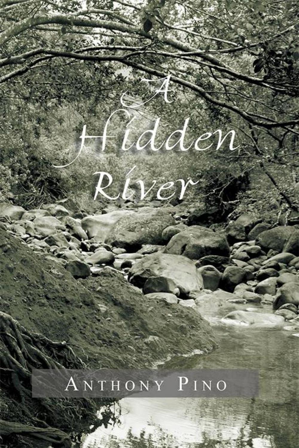 Big bigCover of A Hidden River