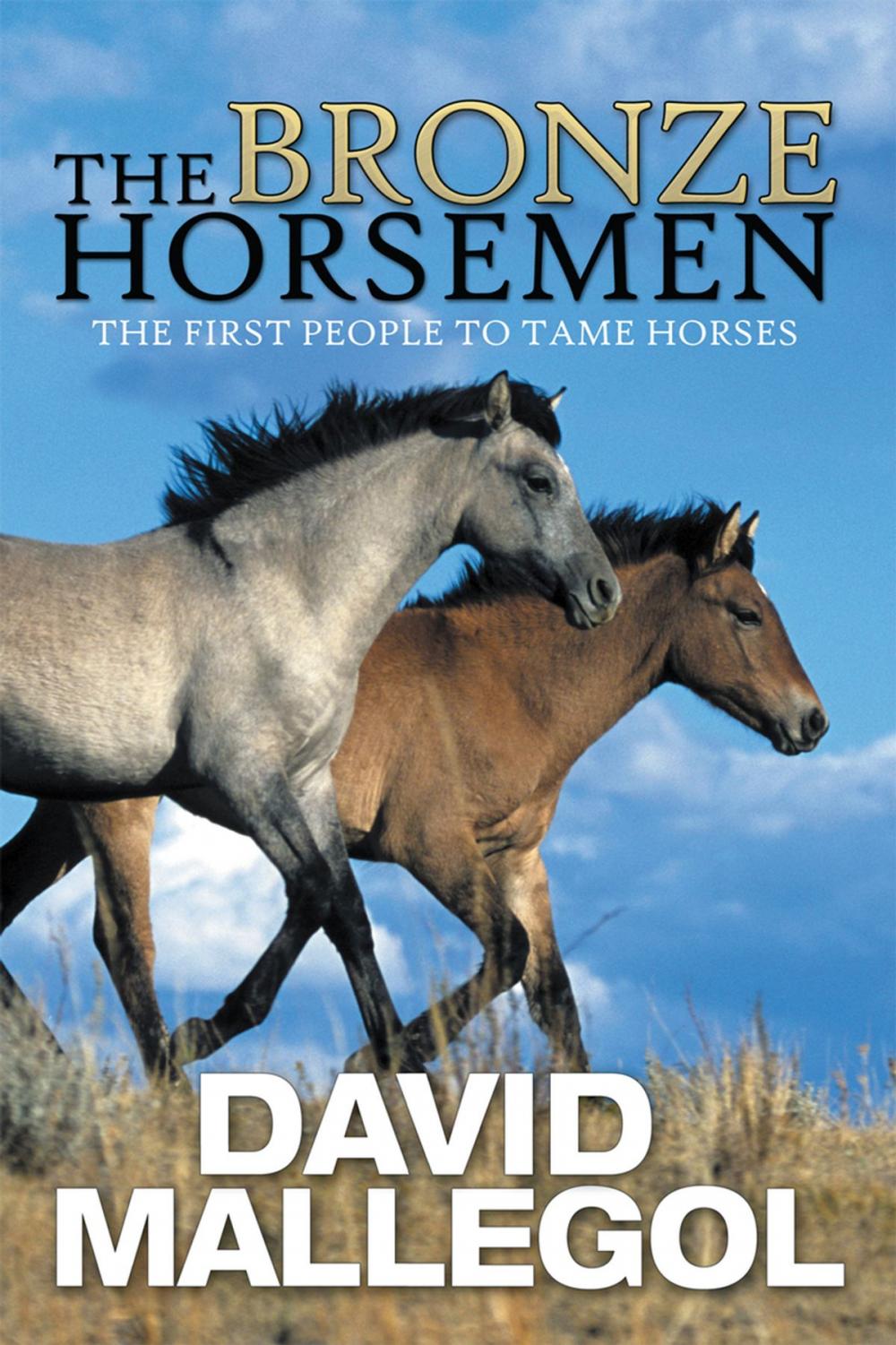 Big bigCover of The Bronze Horsemen