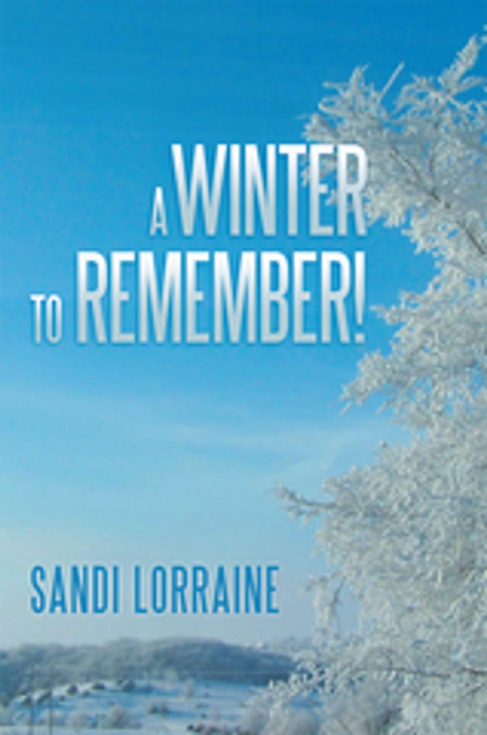 Big bigCover of A Winter to Remember!