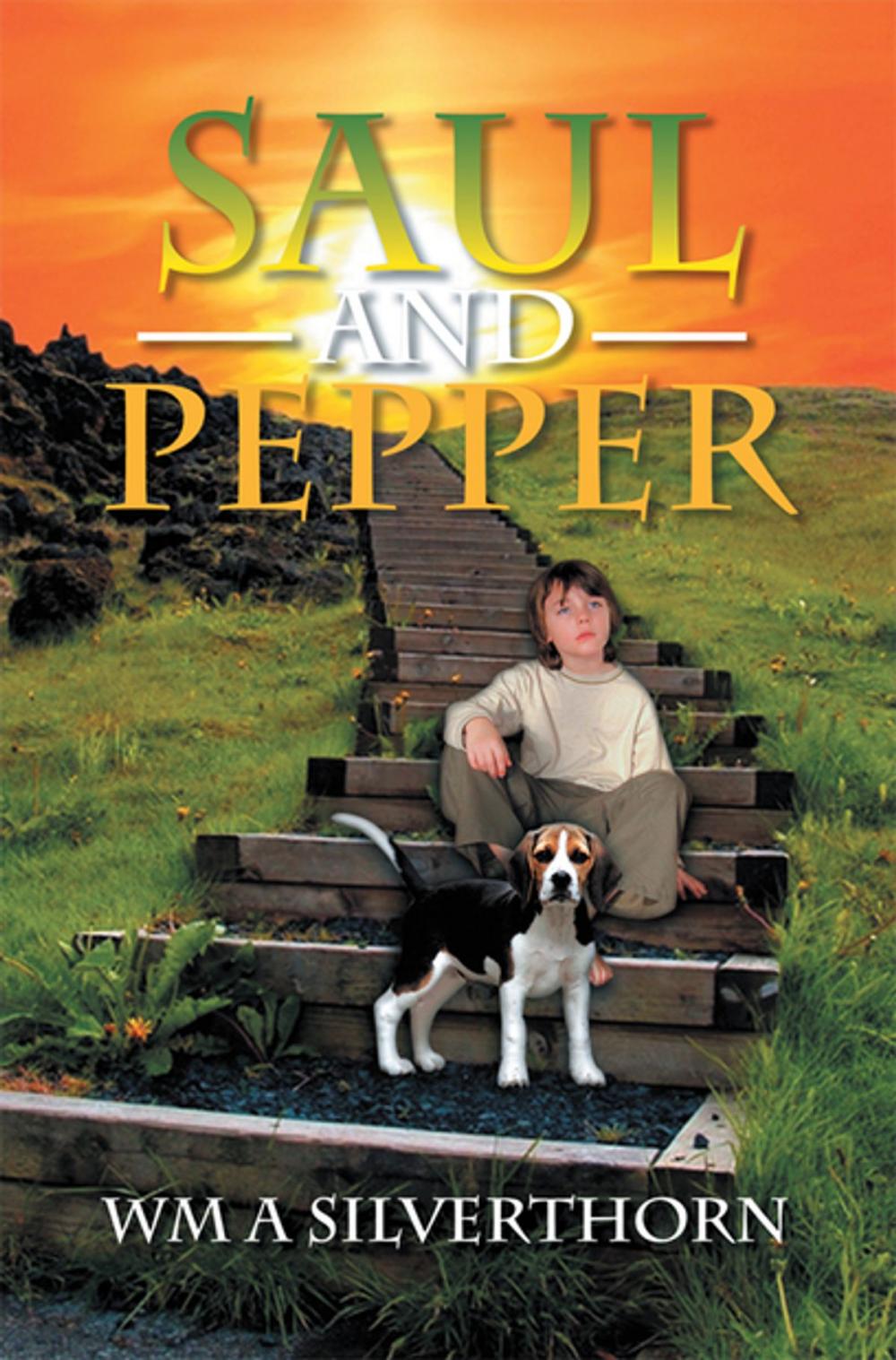 Big bigCover of Saul and Pepper