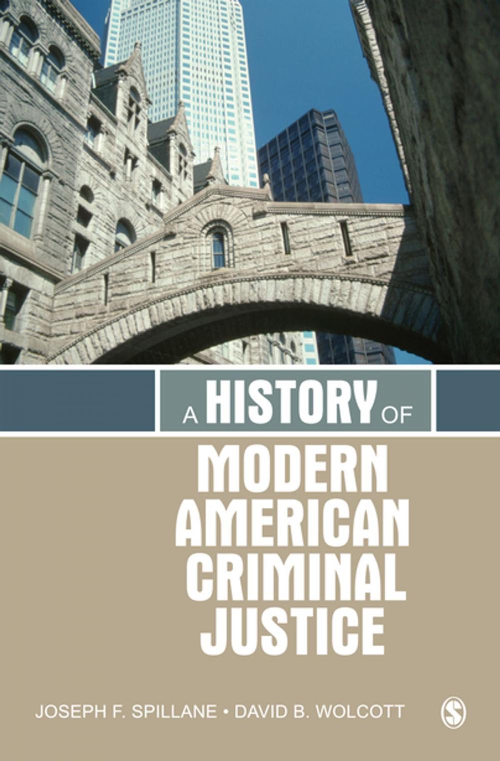 Big bigCover of A History of Modern American Criminal Justice