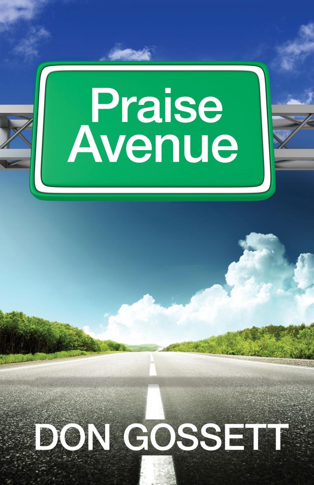 Big bigCover of Praise Avenue