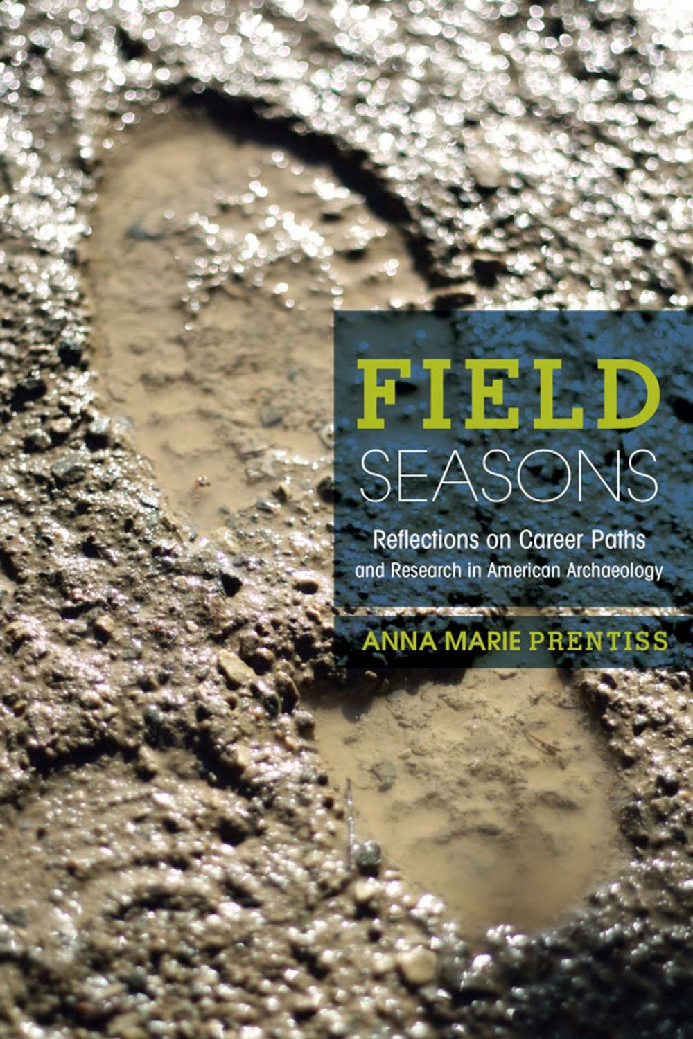 Big bigCover of Field Seasons