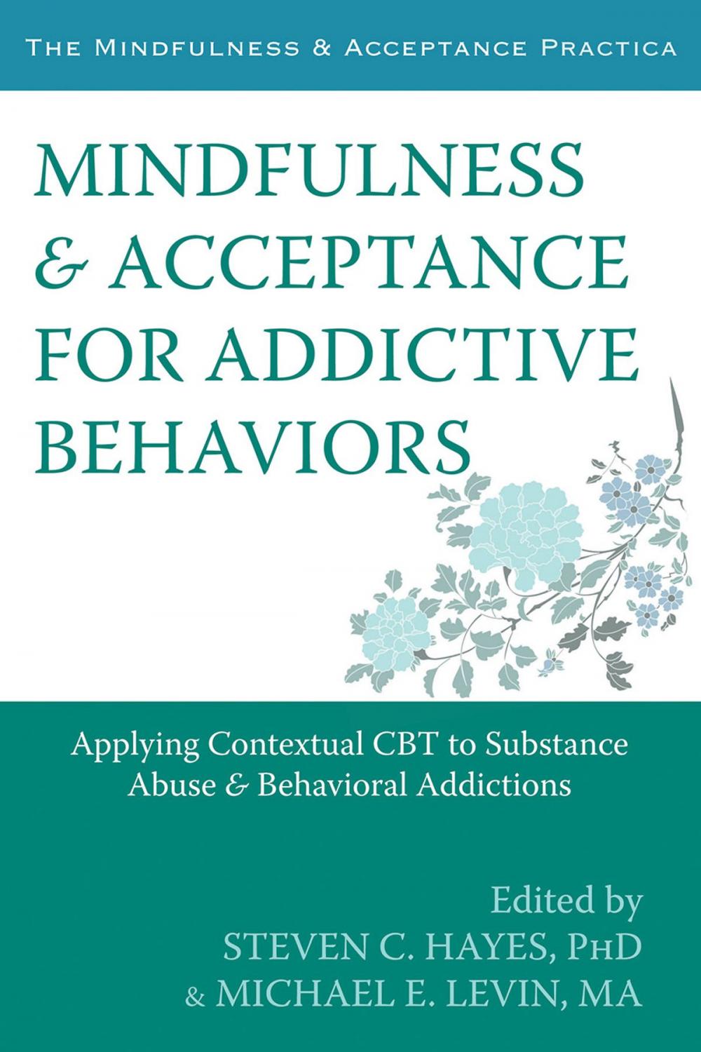 Big bigCover of Mindfulness and Acceptance for Addictive Behaviors