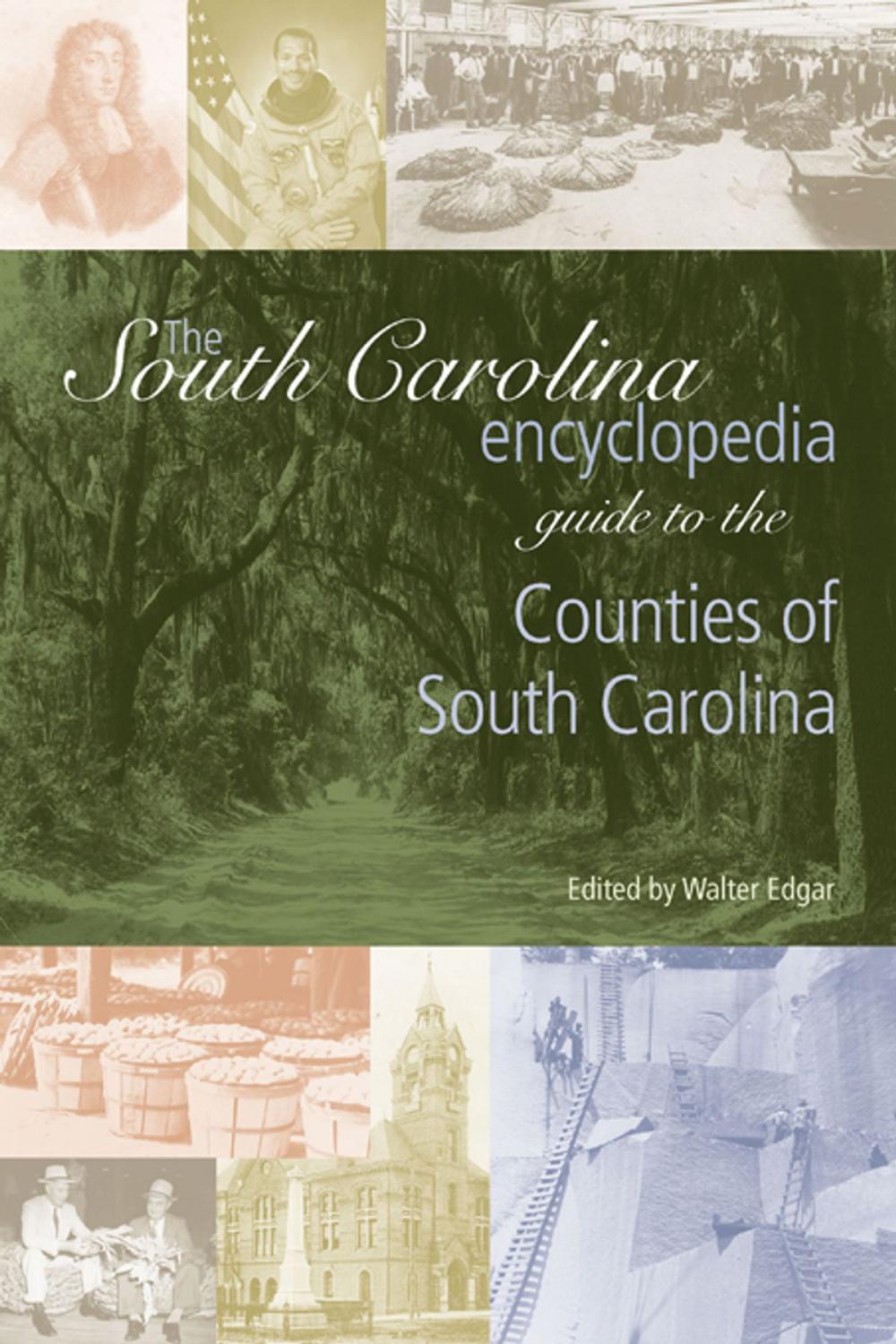 Big bigCover of The South Carolina Encyclopedia Guide to the Counties of South Carolina