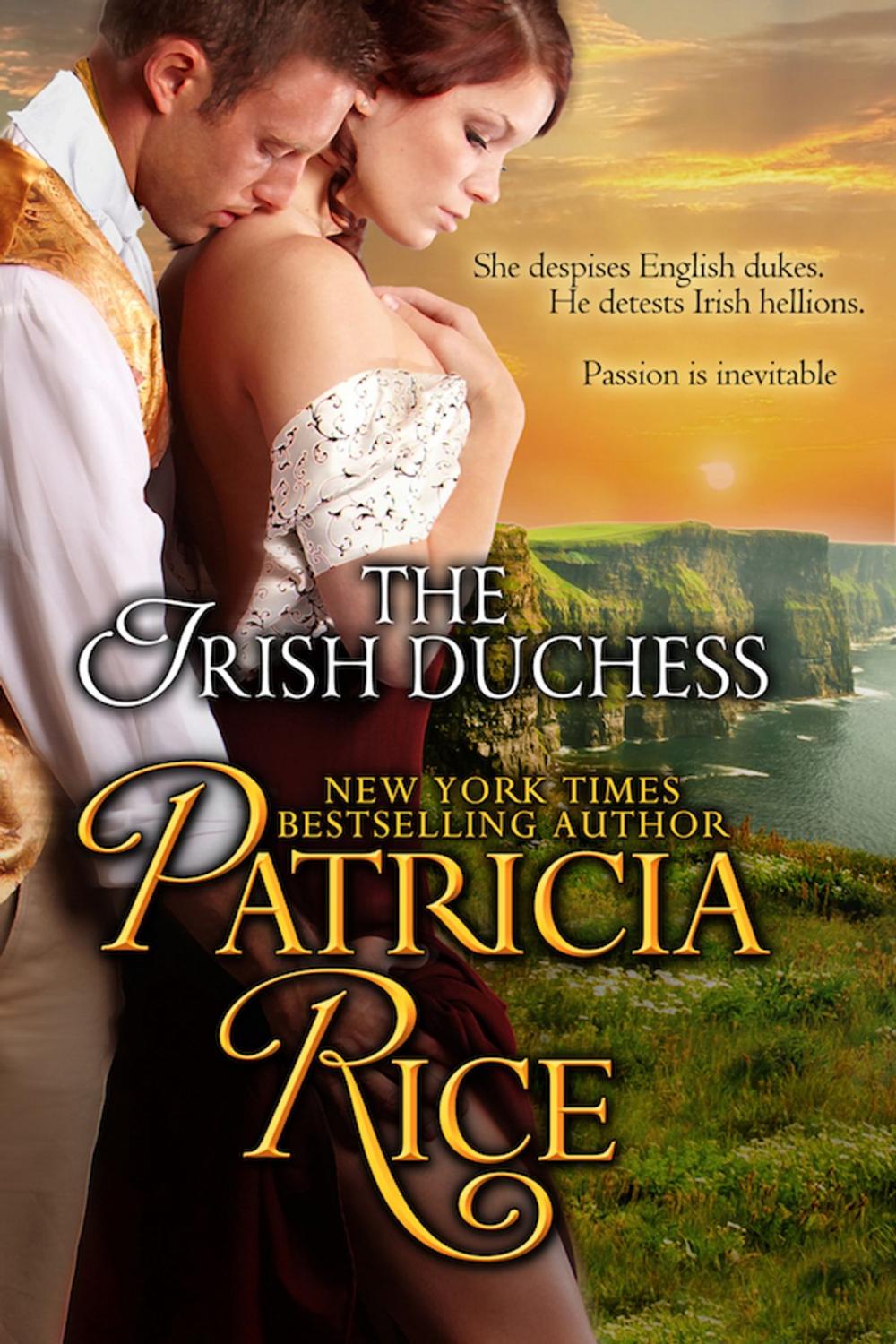 Big bigCover of The Irish Duchess