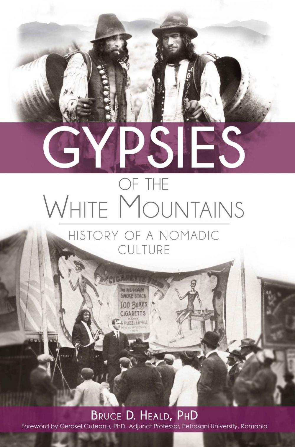 Big bigCover of Gypsies of the White Mountains