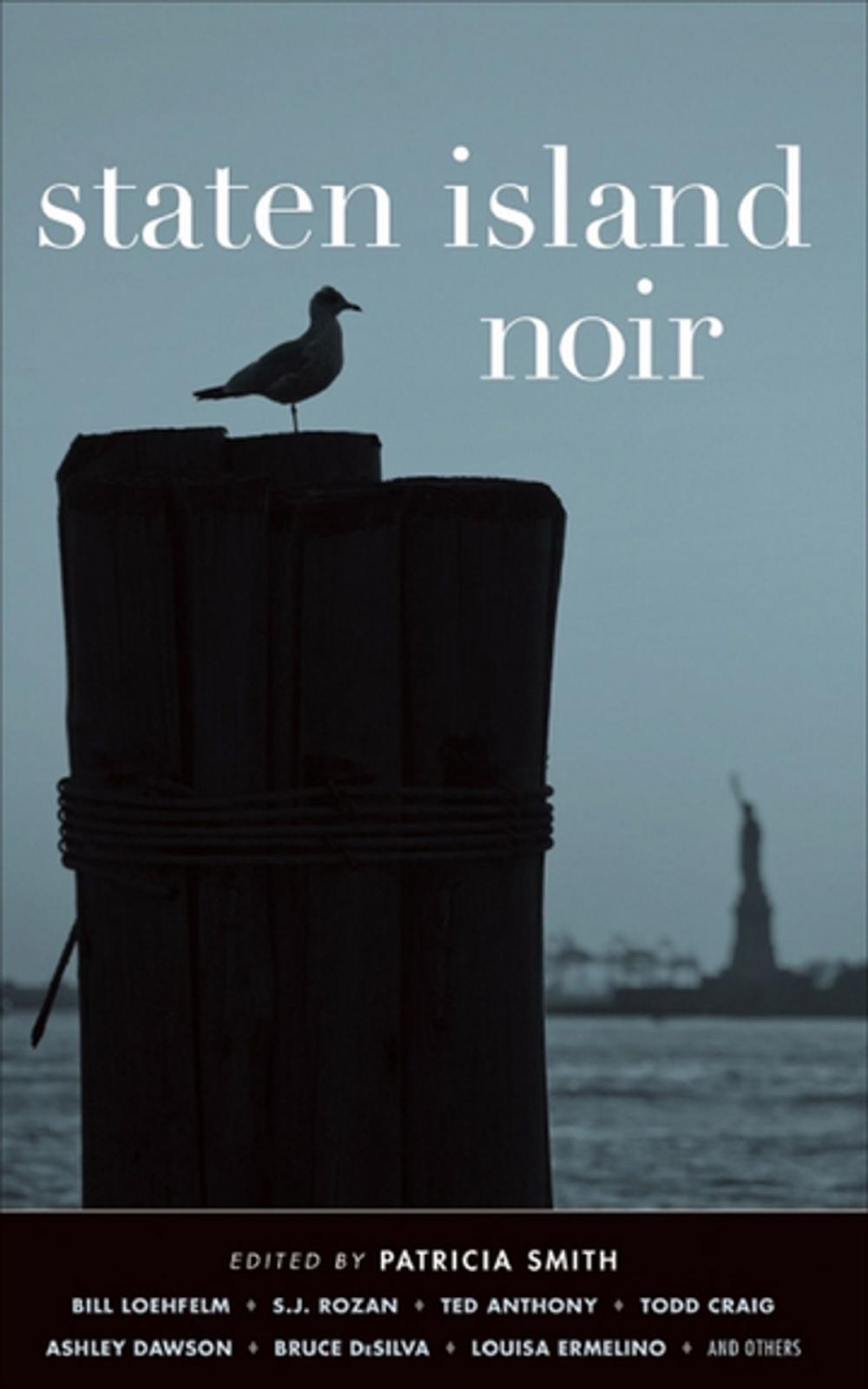 Big bigCover of Staten Island Noir