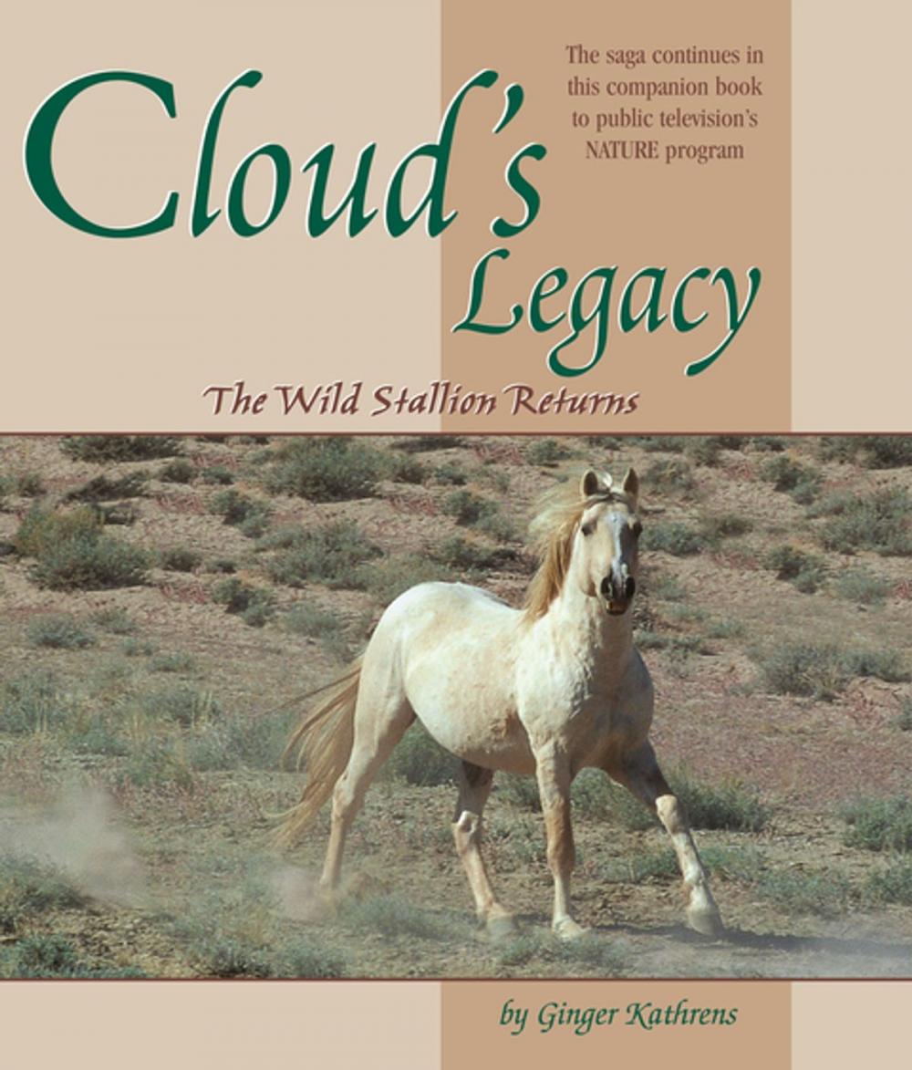 Big bigCover of Cloud's Legacy