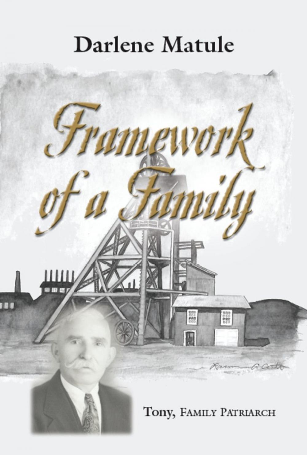 Big bigCover of Framework of a Family