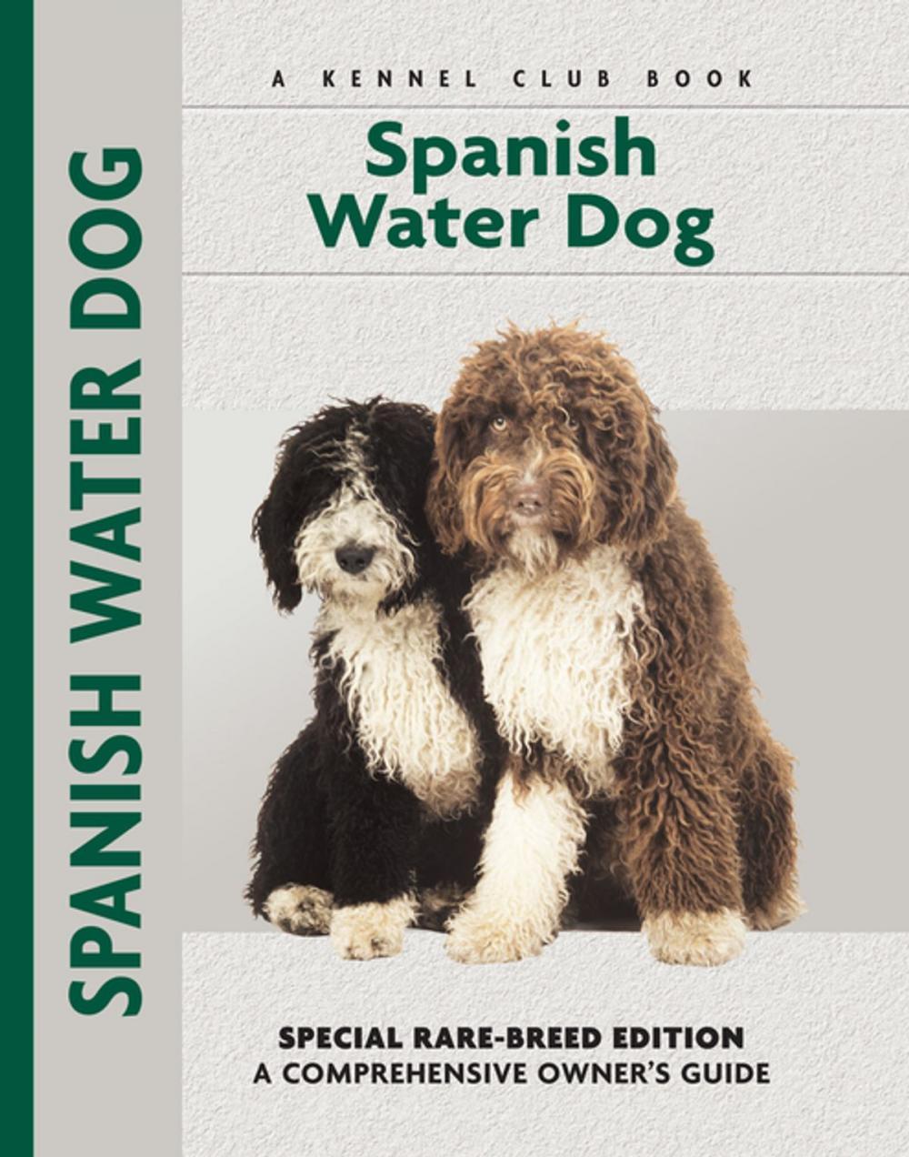 Big bigCover of Spanish Water Dog