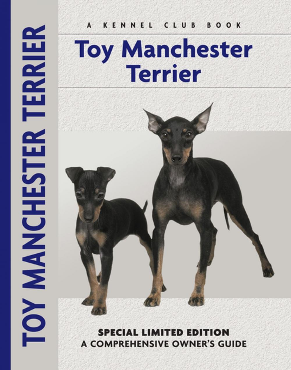 Big bigCover of Toy Manchester Terrier