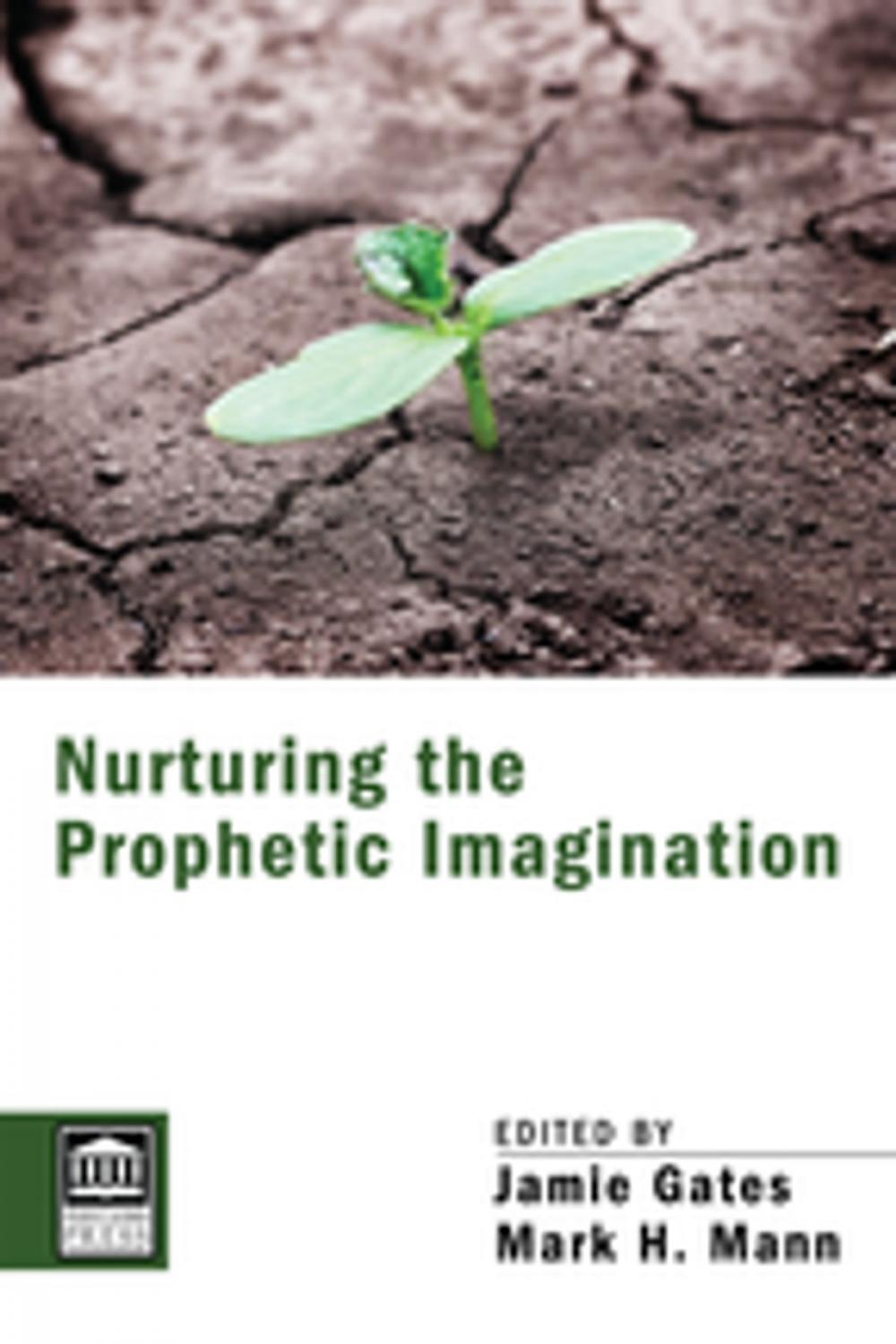 Big bigCover of Nurturing the Prophetic Imagination