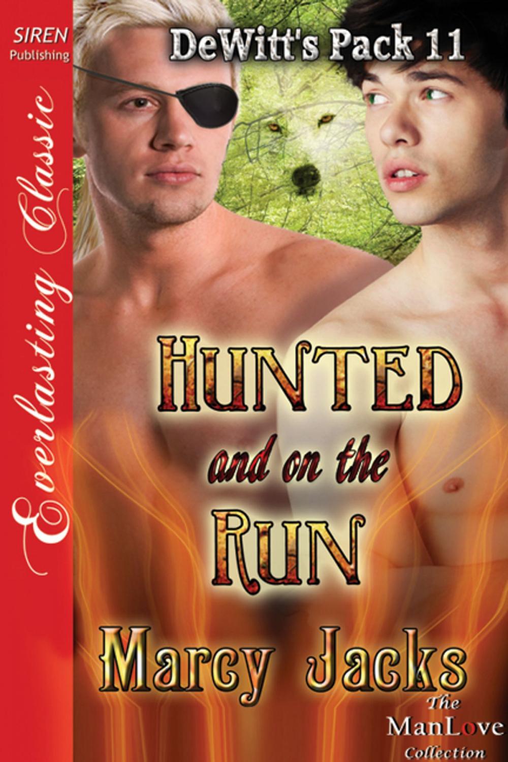 Big bigCover of Hunted and on the Run