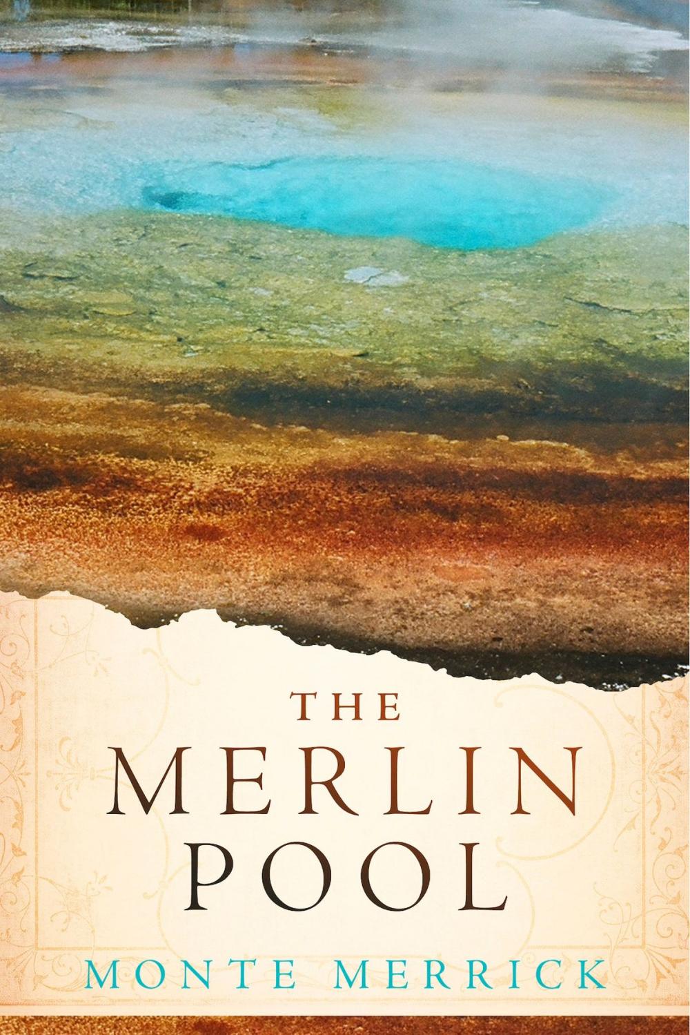 Big bigCover of The Merlin Pool