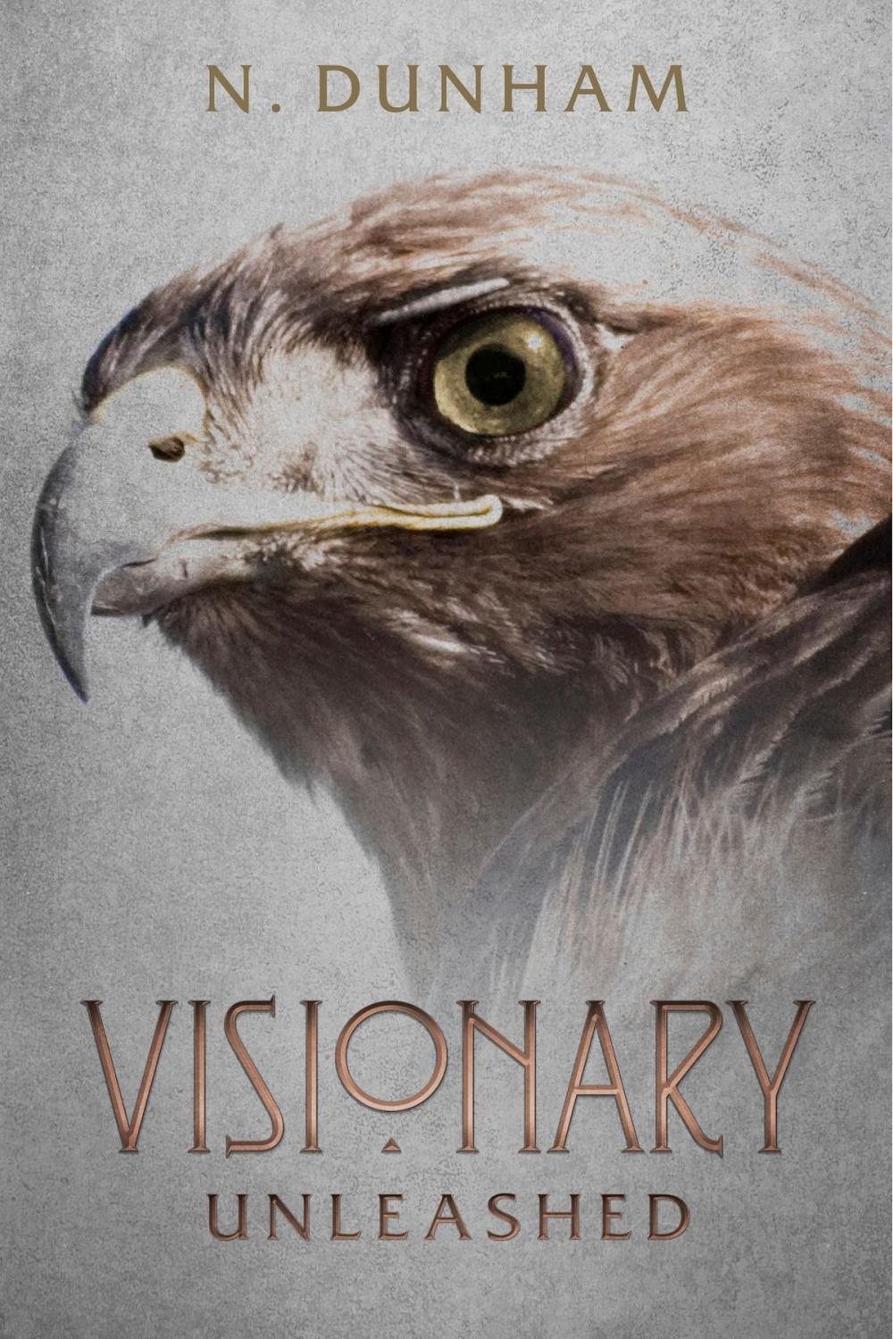 Big bigCover of Visionary