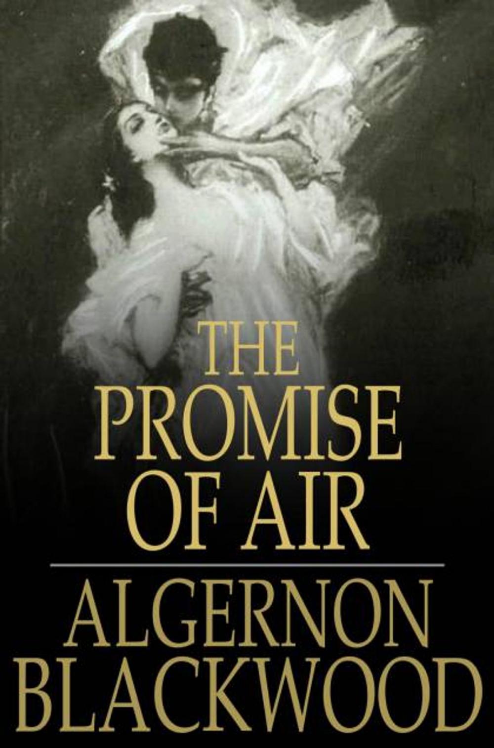 Big bigCover of The Promise of Air