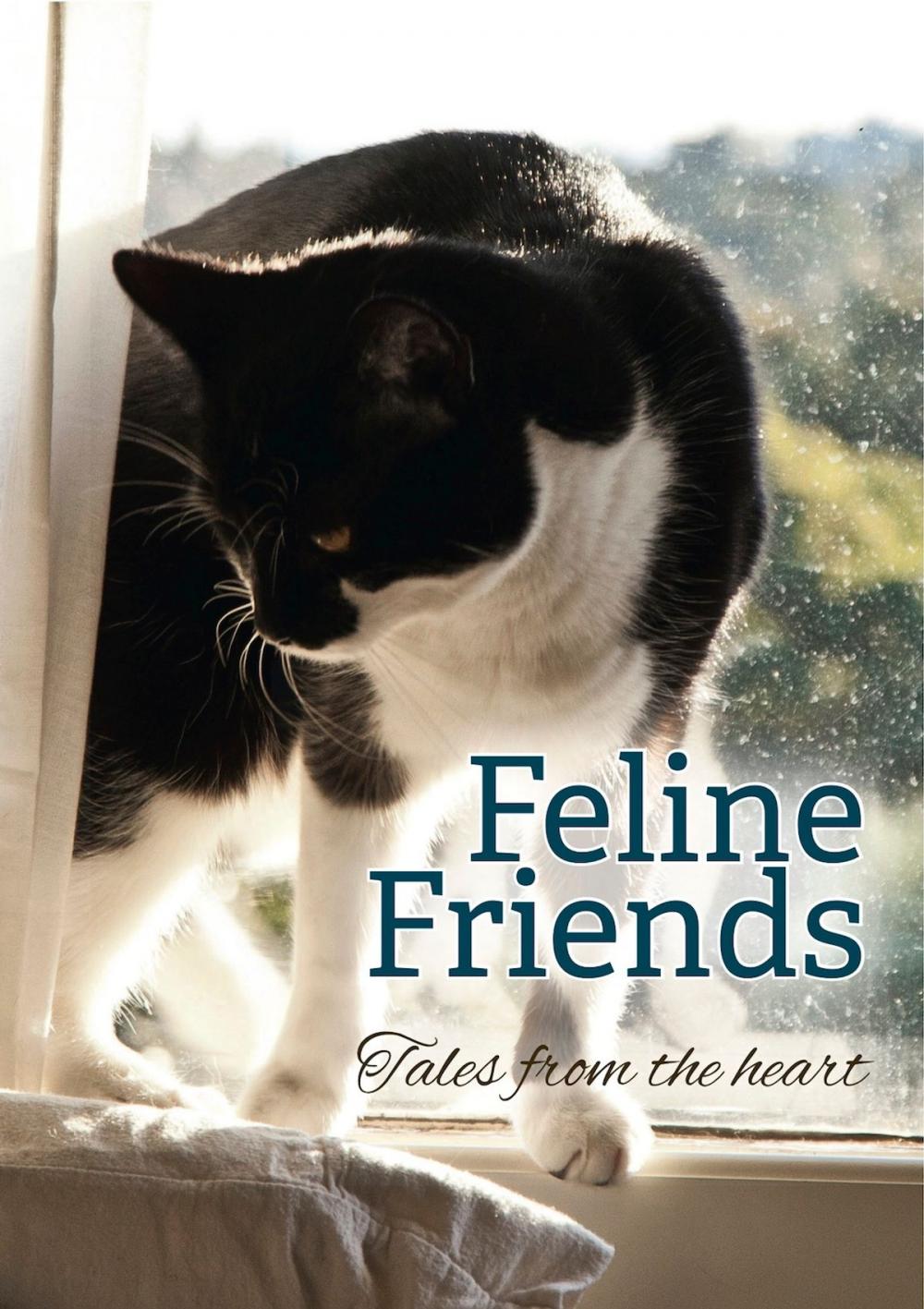 Big bigCover of Feline Friends