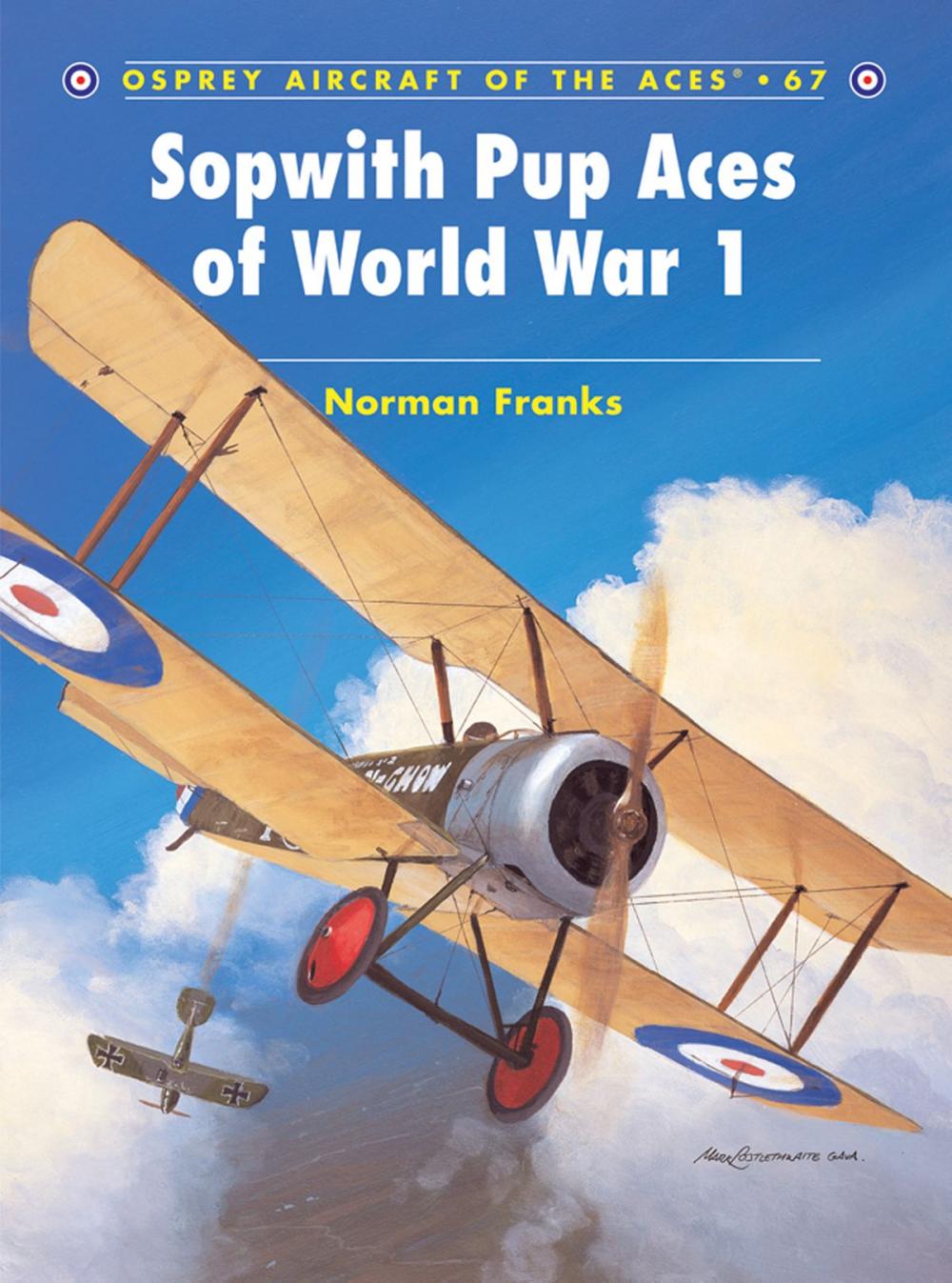 Big bigCover of Sopwith Pup Aces of World War 1