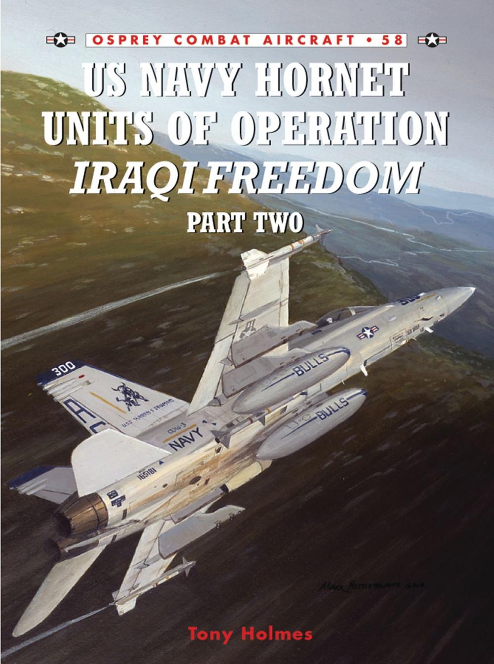 Big bigCover of US Navy Hornet Units of Operation Iraqi Freedom (Part Two)