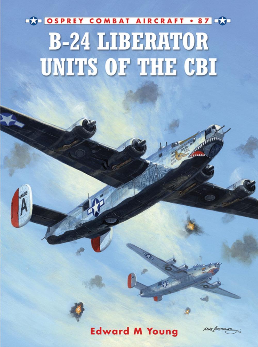 Big bigCover of B-24 Liberator Units of the CBI