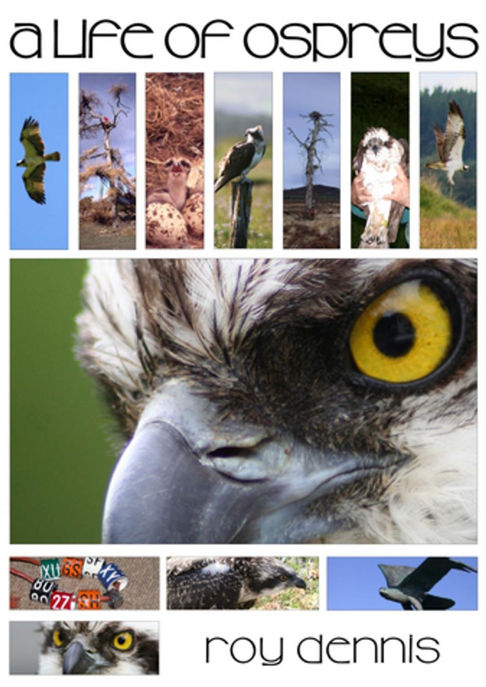 Big bigCover of A Life of Ospreys