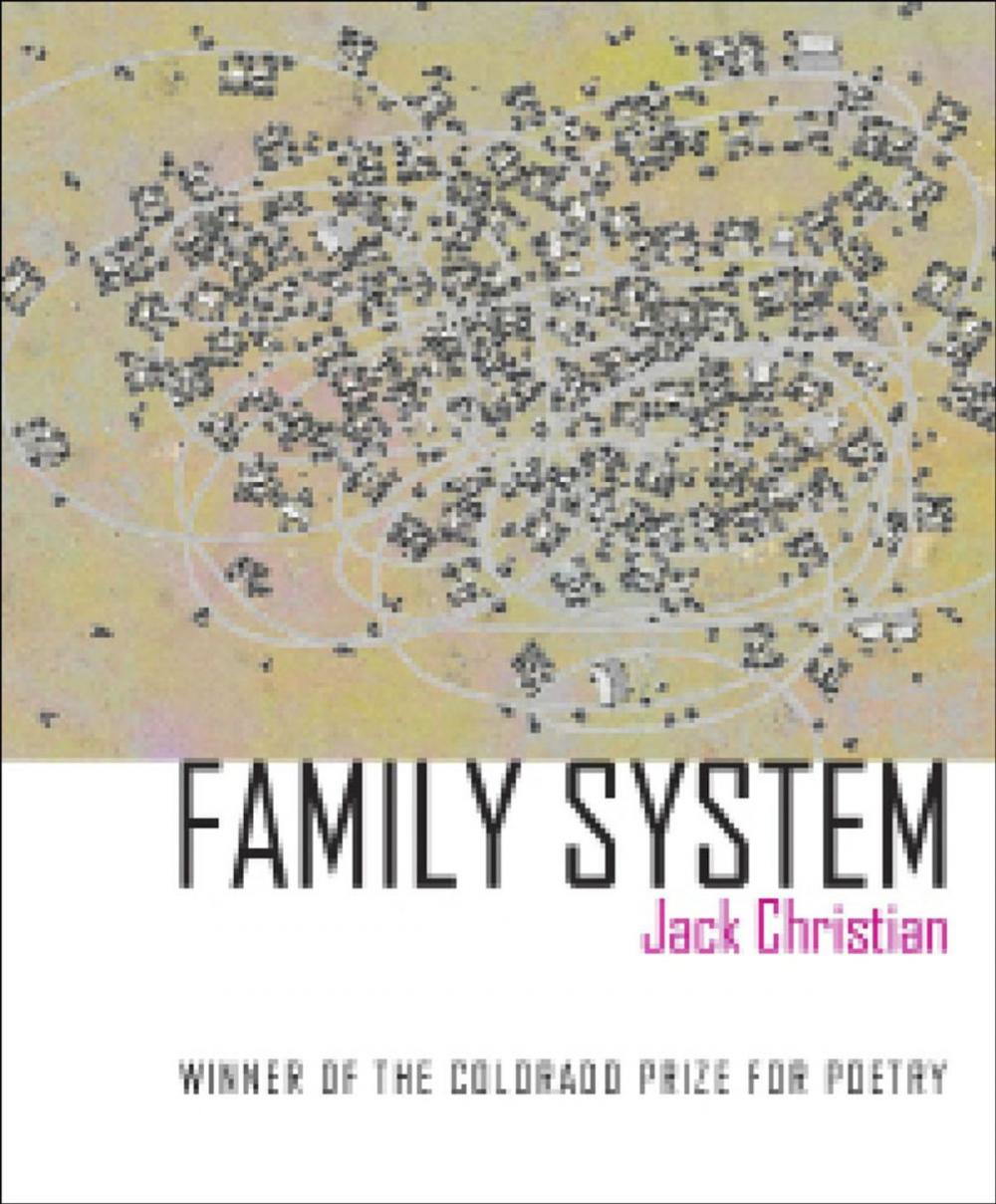 Big bigCover of Family System