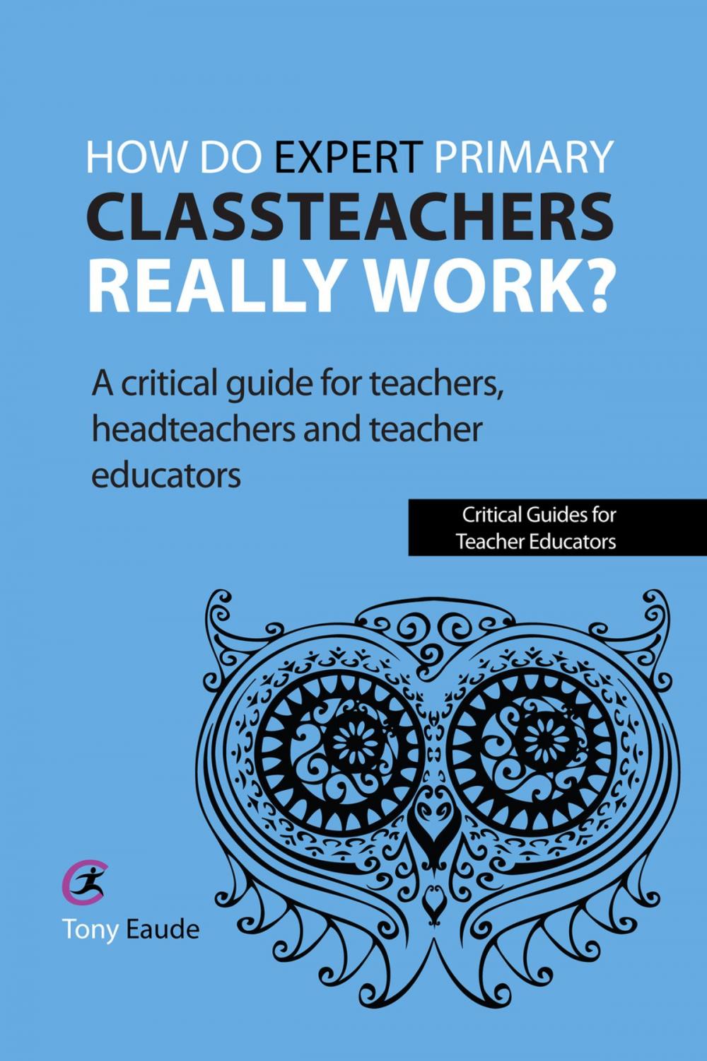 Big bigCover of How do expert primary classteachers really work?