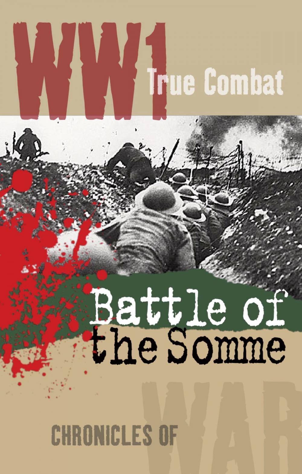 Big bigCover of The Battle of The Somme (True Combat)