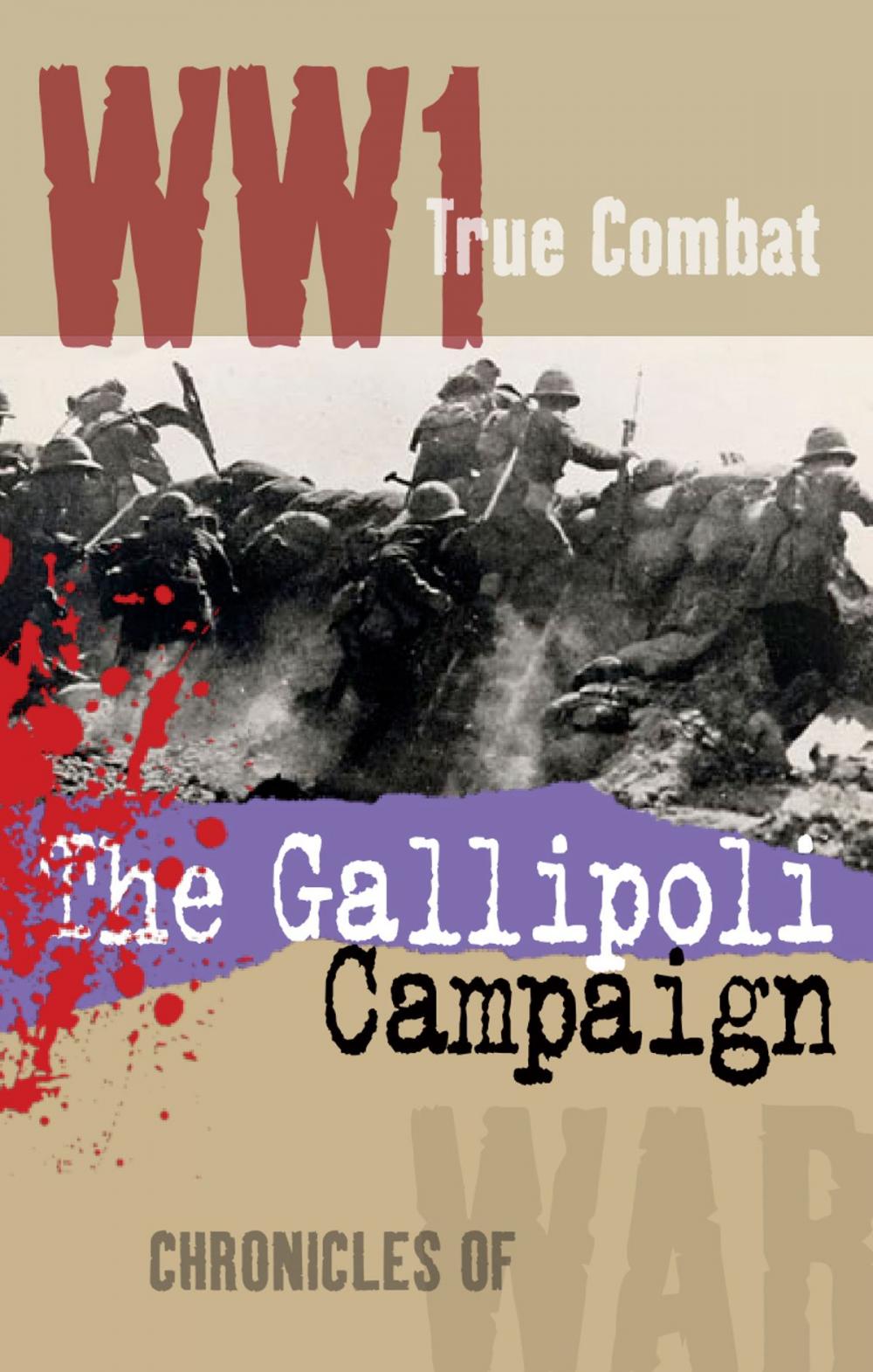 Big bigCover of The Gallipoli Campaign (True Combat)