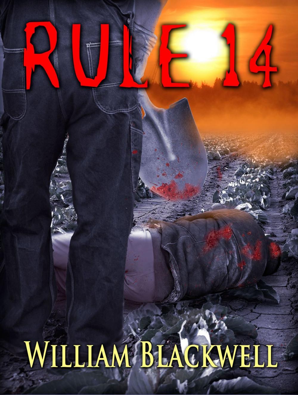 Big bigCover of Rule 14