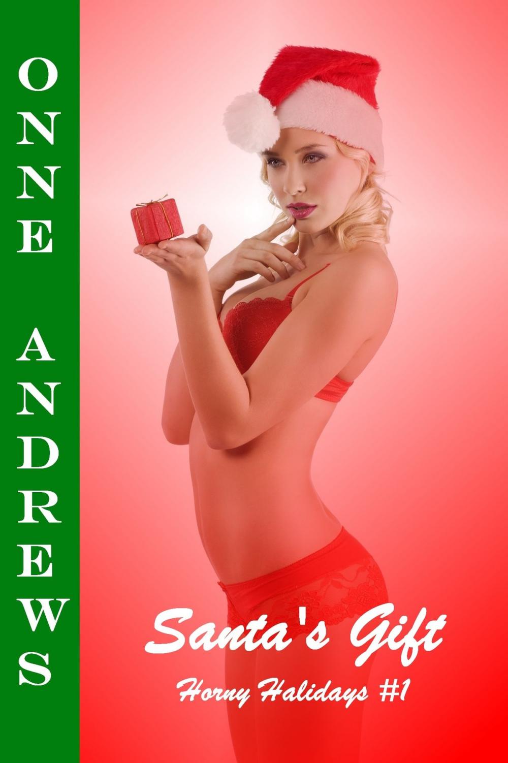 Big bigCover of Santa's Gift (Horny Holidays #1 Erotic Fantasy Romance)