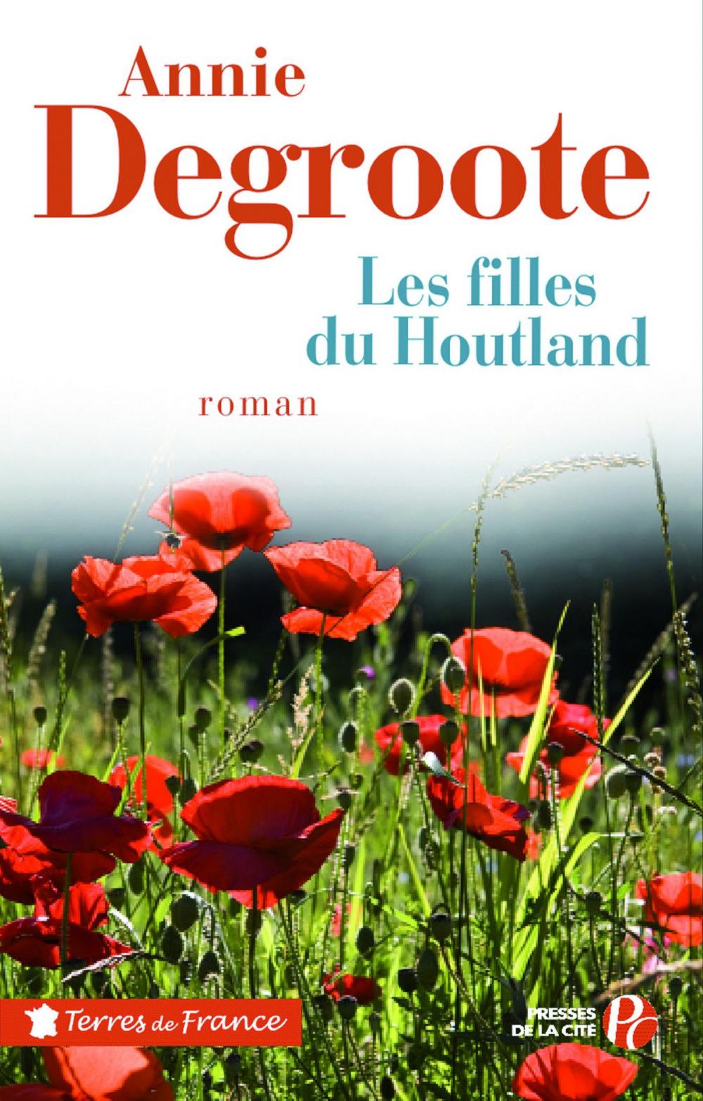 Big bigCover of Les filles du Houtland