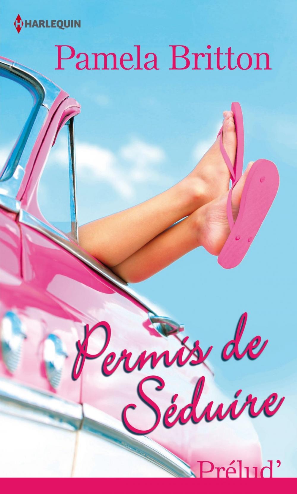 Big bigCover of Permis de séduire