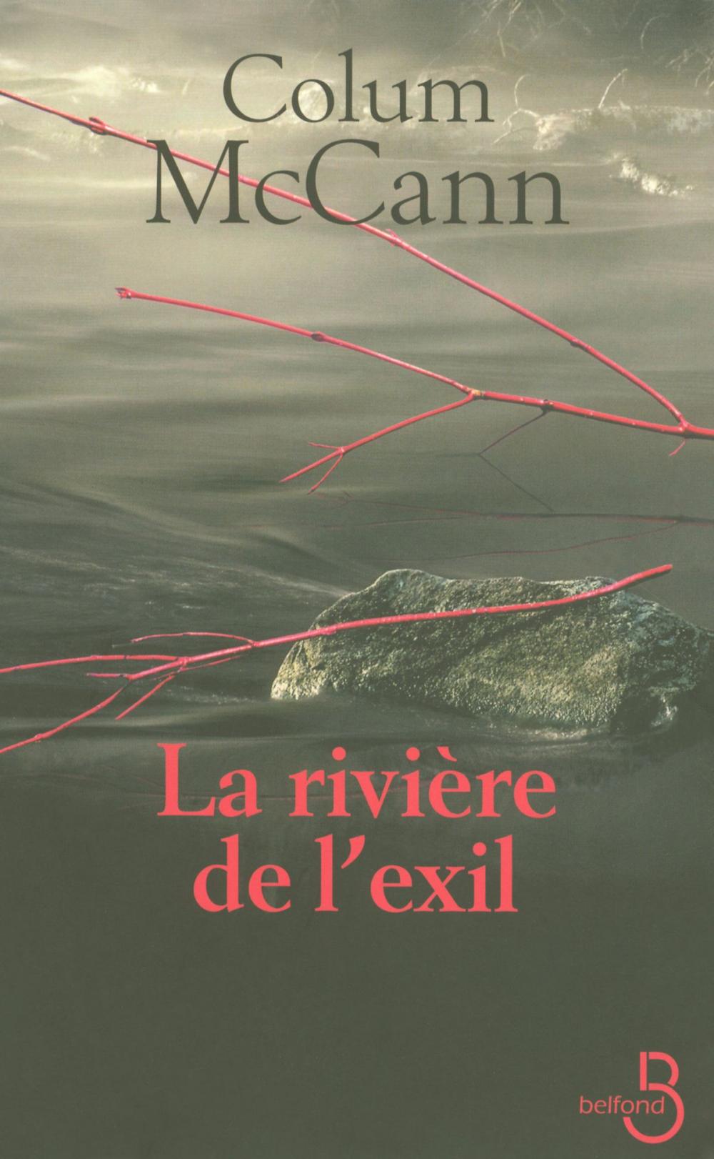 Big bigCover of La Rivière de l'exil