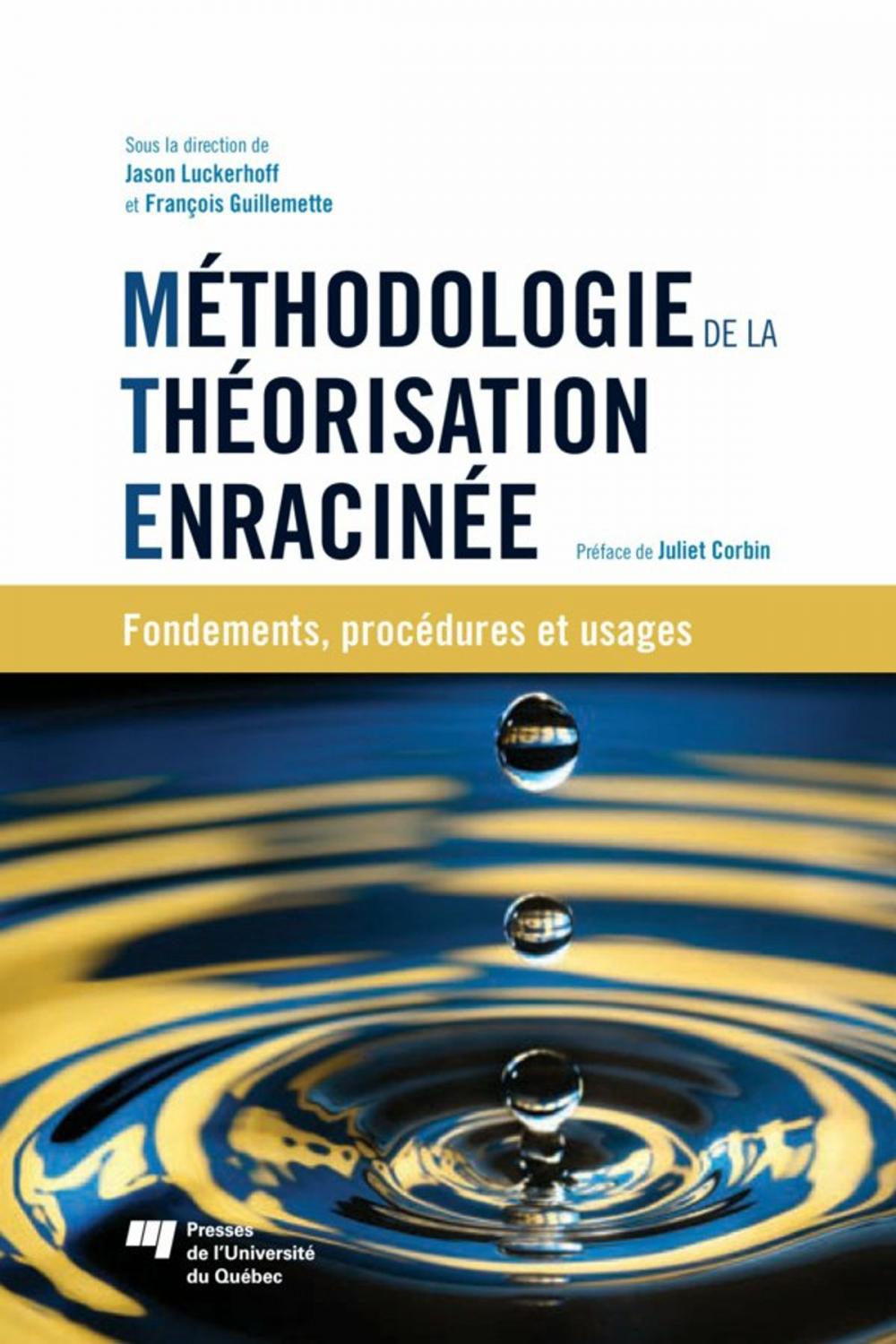 Big bigCover of Méthodologie de la théorisation enracinée