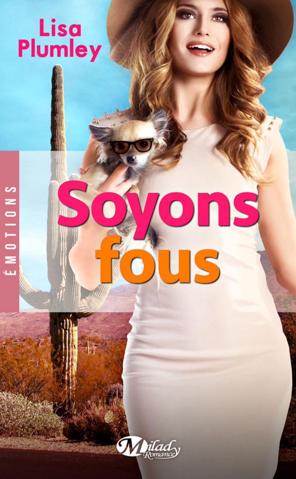 Big bigCover of Soyons fous