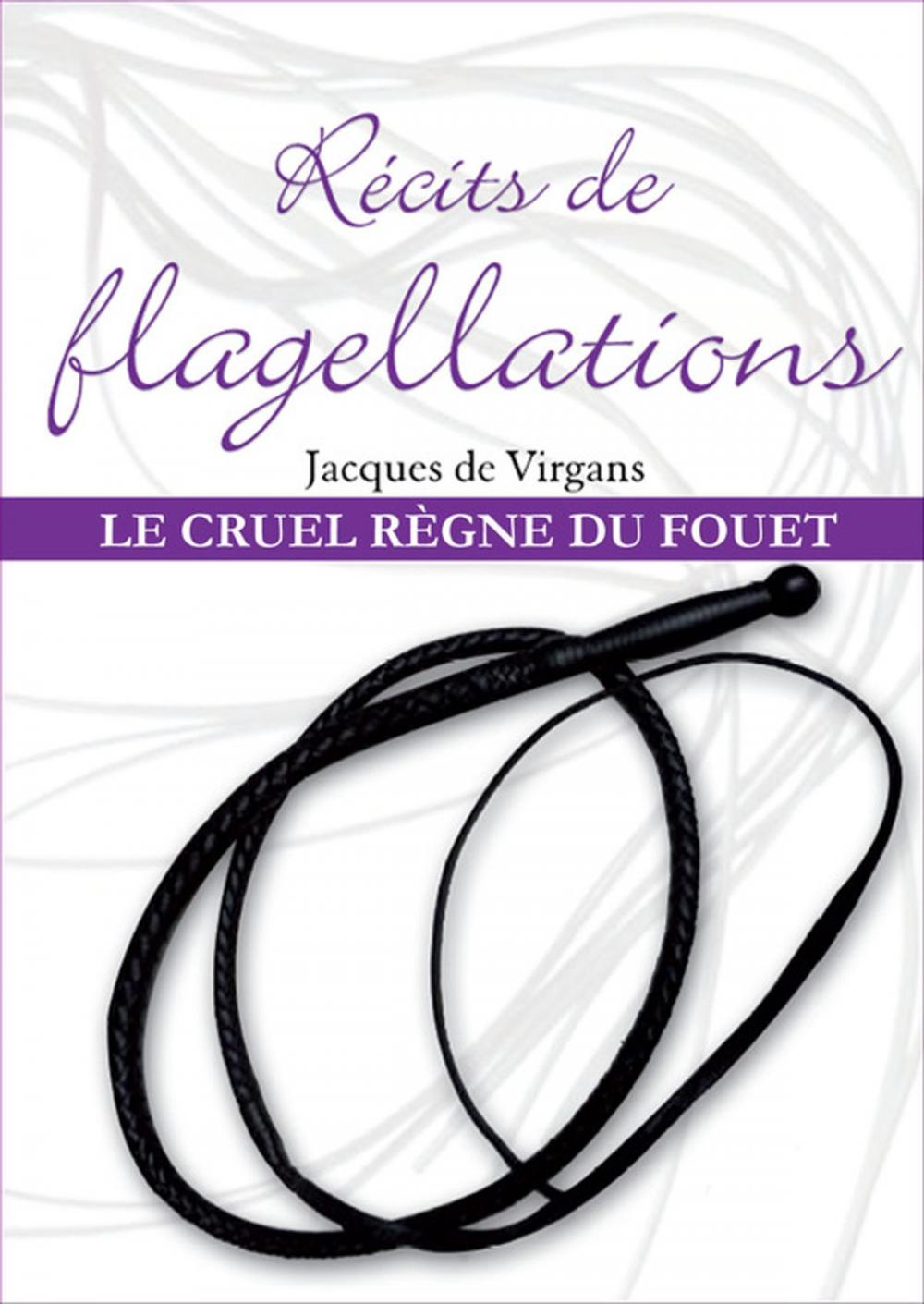 Big bigCover of Récits de flagellation Tome 3