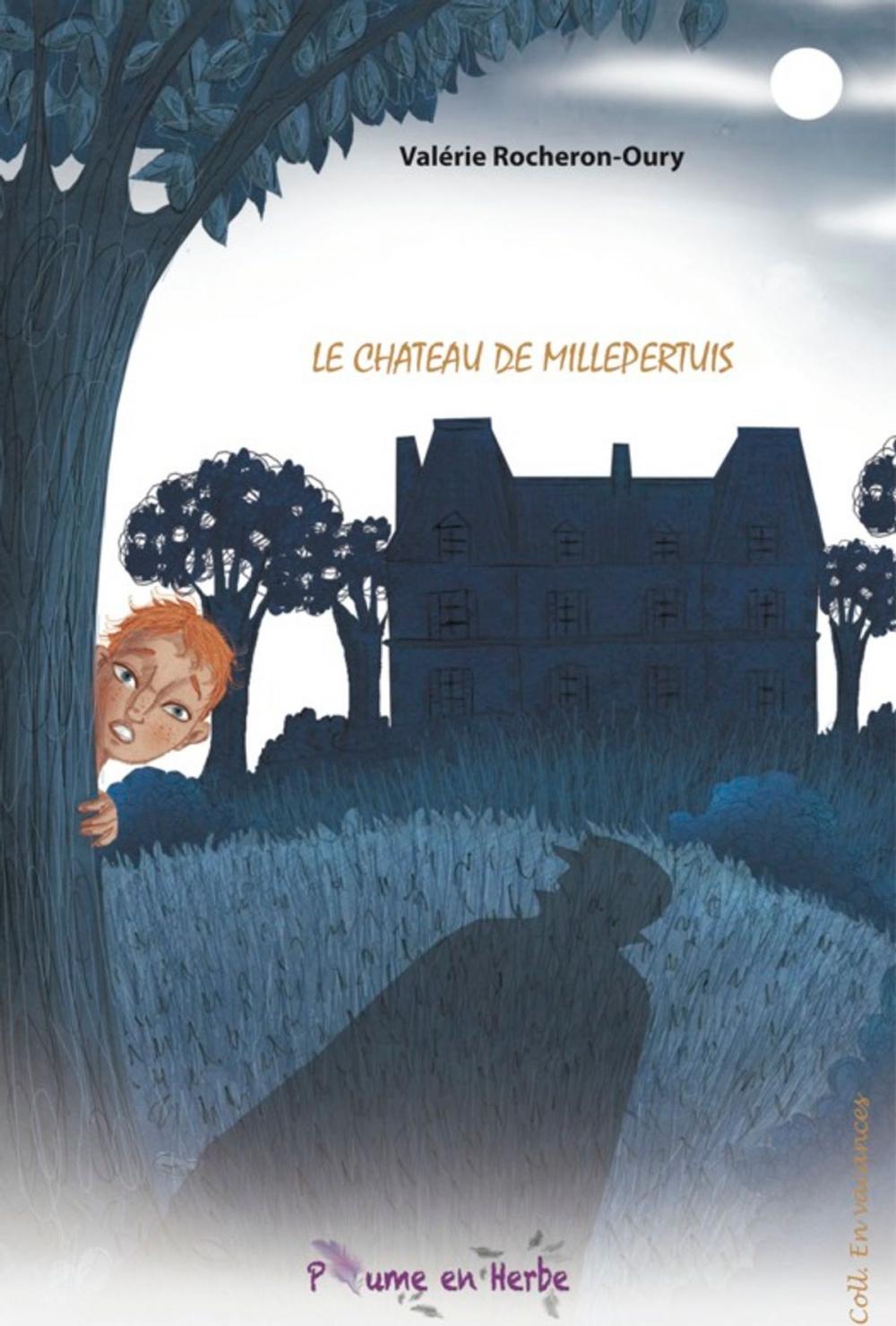 Big bigCover of Le Château de Millepertuis