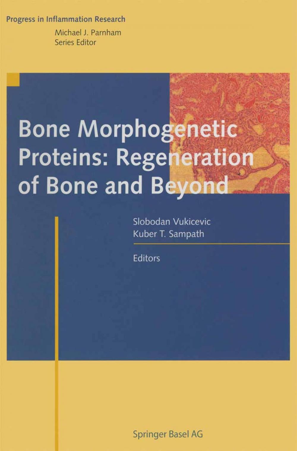 Big bigCover of Bone Morphogenetic Proteins: Regeneration of Bone and Beyond
