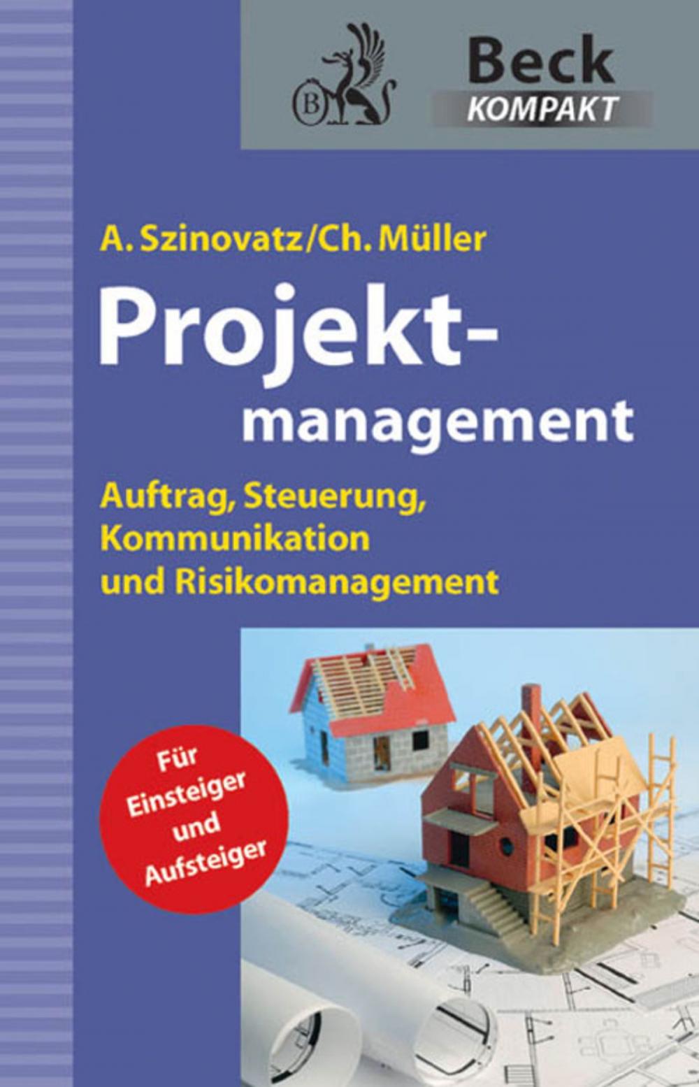 Big bigCover of Projektmanagement