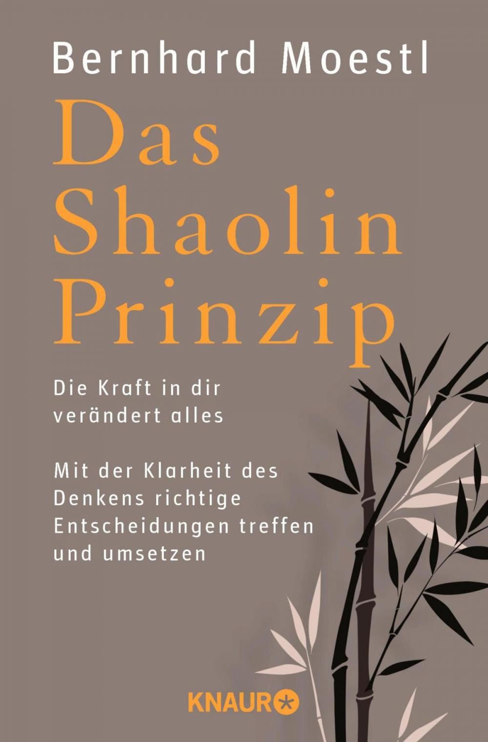 Big bigCover of Das Shaolin-Prinzip