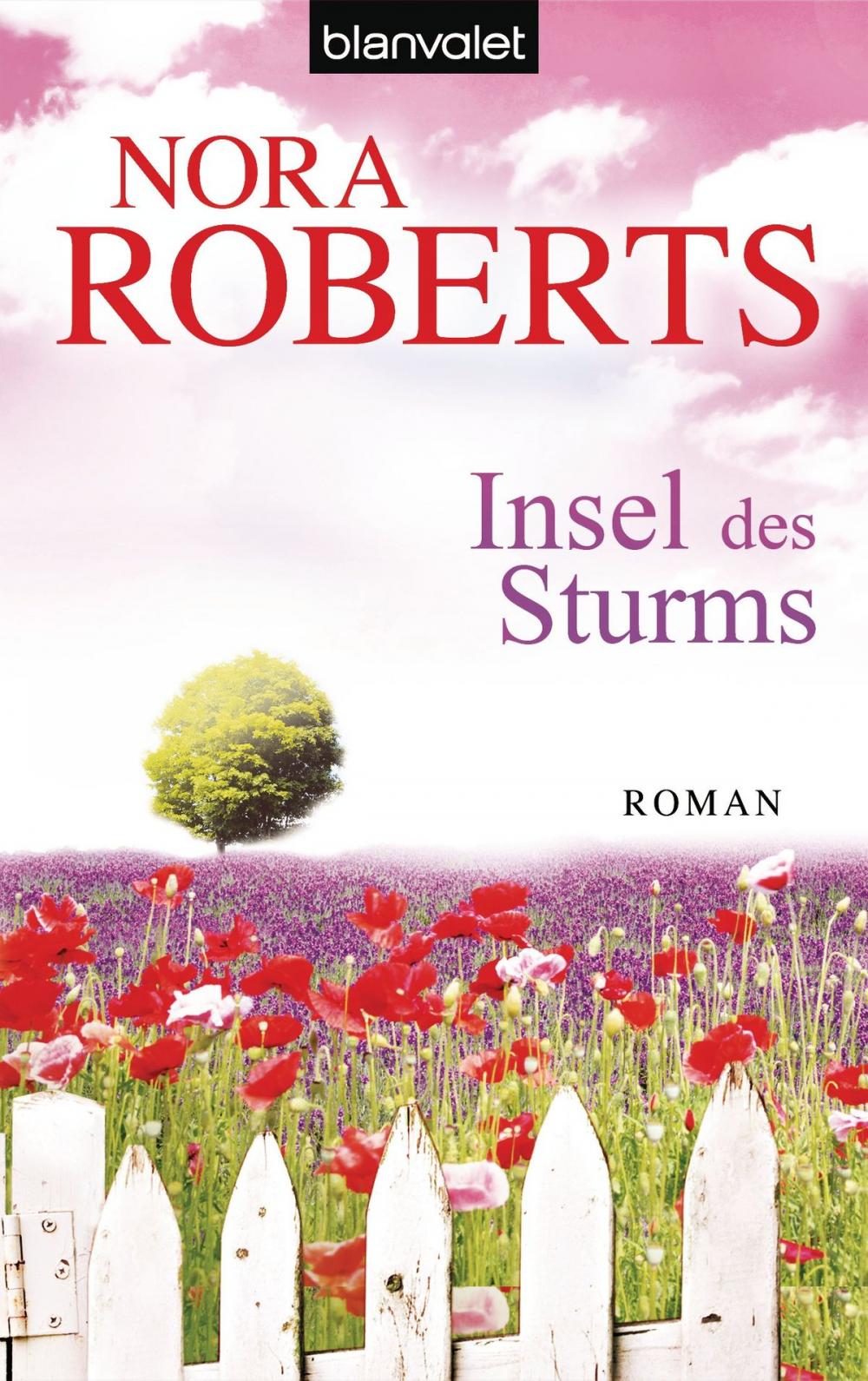 Big bigCover of Insel des Sturms