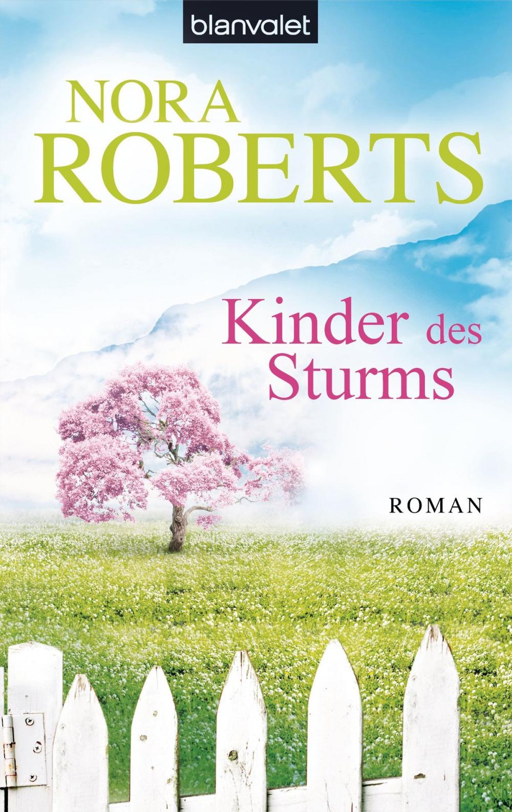 Big bigCover of Kinder des Sturms