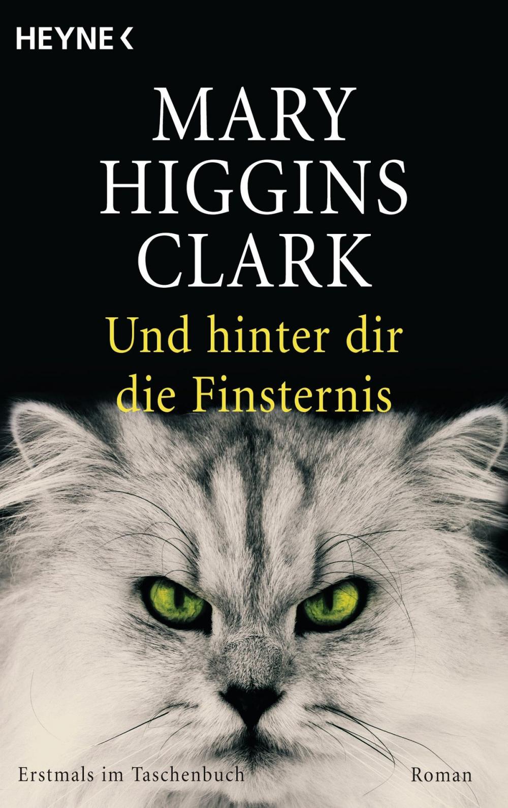 Big bigCover of Und hinter dir die Finsternis